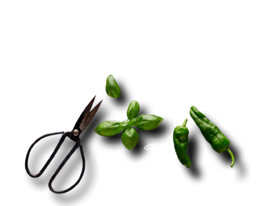  Fat & buffé 